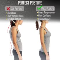 Shoulder Back Support Belt